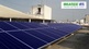 Waaree Renewable Technologies Ltd receives LOA for EPC works